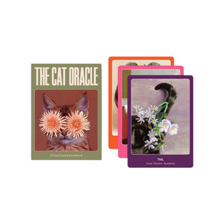 Cat Oracle card set with colorful cards and a guidebook on a white background