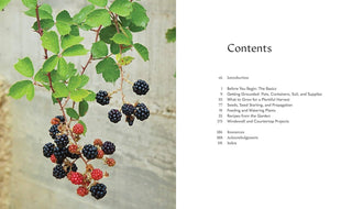Tiny Space Gardening: A Guide to Urban Farming - Water Moon Shop