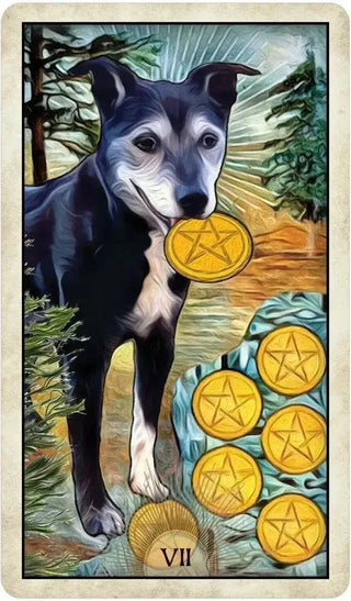 Wise Dog Tarot - Water Moon Shop