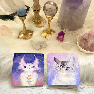 Witch Cats Oracle Deck - Water Moon Shop