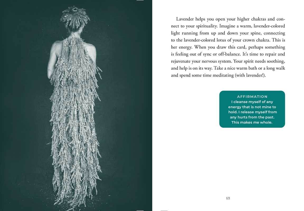 Sacred Nature Oracle by Holly Wilmeth - Water Moon Shop