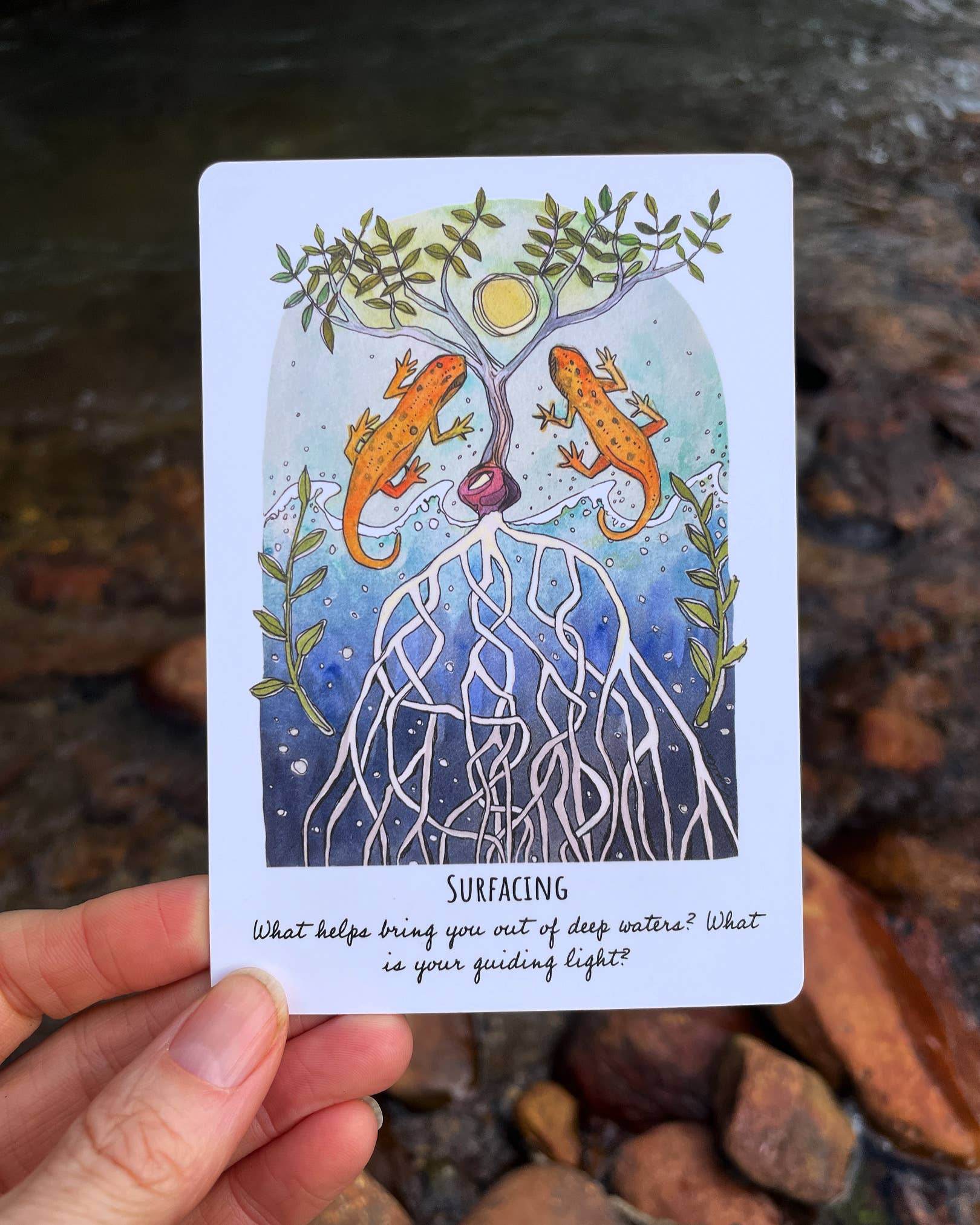 Phases and Forests Oracle Deck - Water Moon Shop