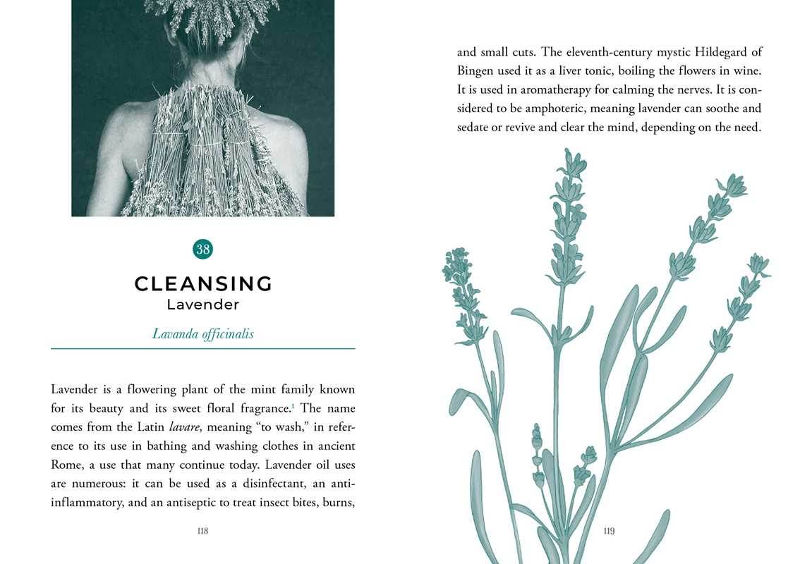 Sacred Nature Oracle by Holly Wilmeth - Water Moon Shop