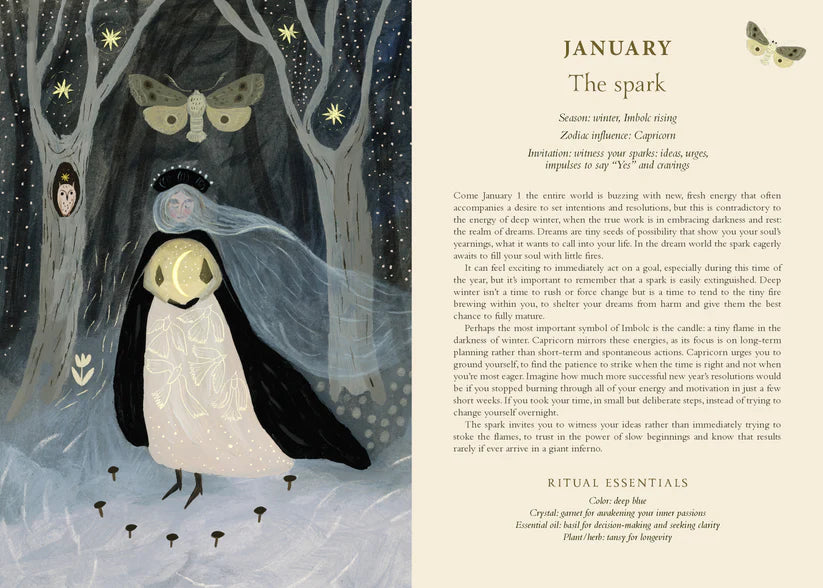 2027 Seasons of the Witch Planner Calendar by Lorriane Anderson, Witchy Journal Planner