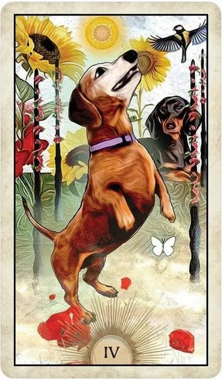 Wise Dog Tarot - Water Moon Shop