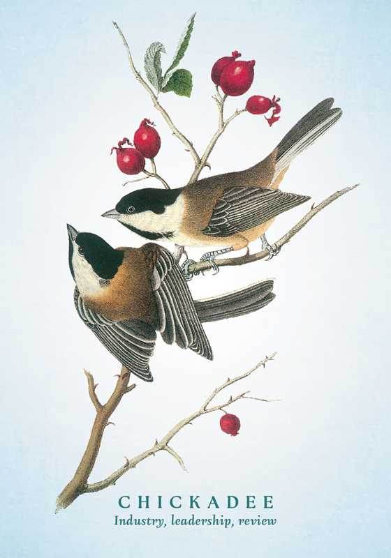 Spiritual Meaning of Birds Oracle Deck by Arin Murphy-Hiscock - Water Moon Shop