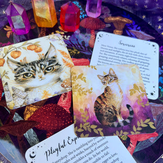 Witch Cats Oracle Deck - Water Moon Shop
