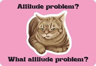 Cattitude Oracle Cards - 24 Feisty Feline Mood & Humor Cards by Rockpool Publishing, Cat Lover Gifts & Daily Confidence Boosters