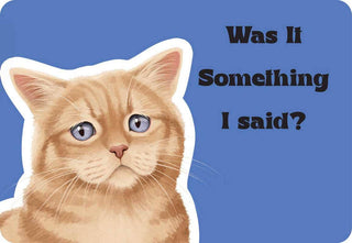 Cattitude Oracle Cards - 24 Feisty Feline Mood & Humor Cards by Rockpool Publishing, Cat Lover Gifts & Daily Confidence Boosters