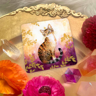 Witch Cats Oracle Deck - Water Moon Shop