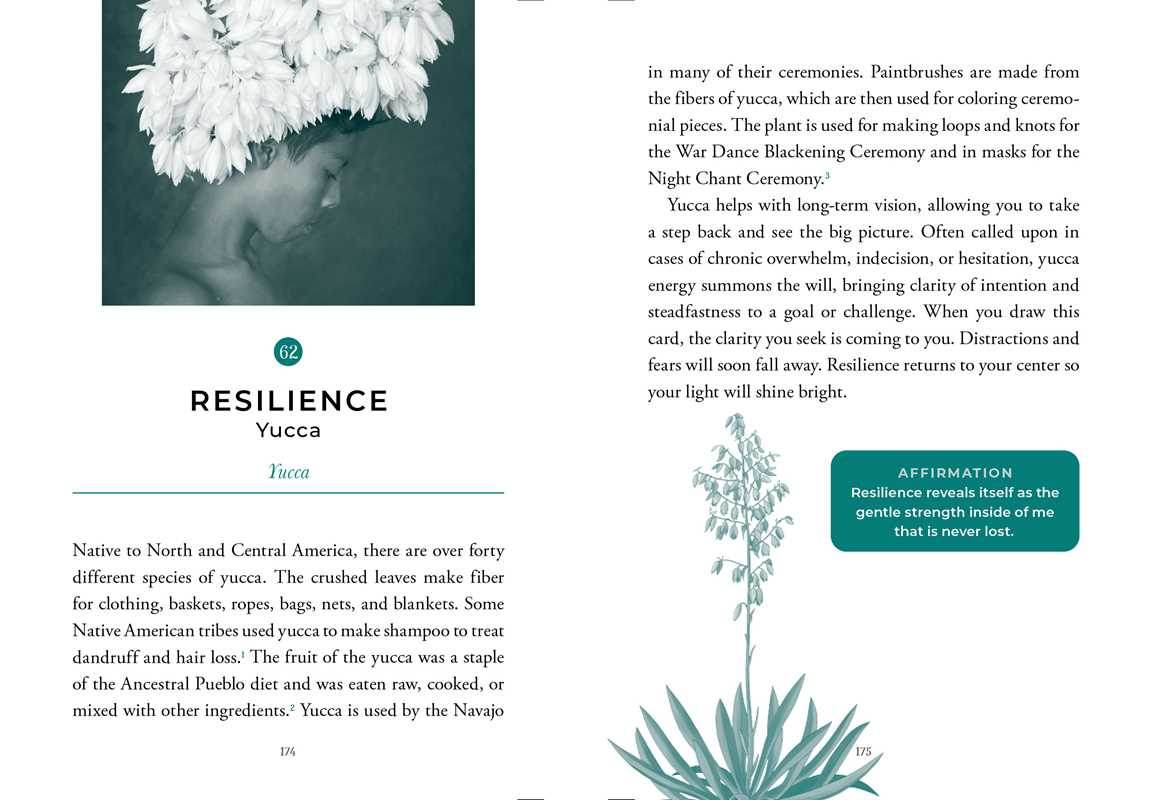 Sacred Nature Oracle by Holly Wilmeth - Water Moon Shop