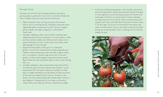 Tiny Space Gardening: A Guide to Urban Farming - Water Moon Shop
