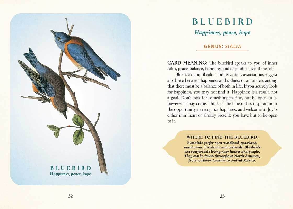 Spiritual Meaning of Birds Oracle Deck by Arin Murphy-Hiscock - Water Moon Shop