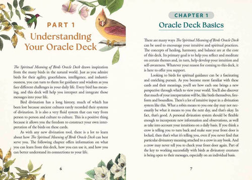 Spiritual Meaning of Birds Oracle Deck by Arin Murphy-Hiscock - Water Moon Shop