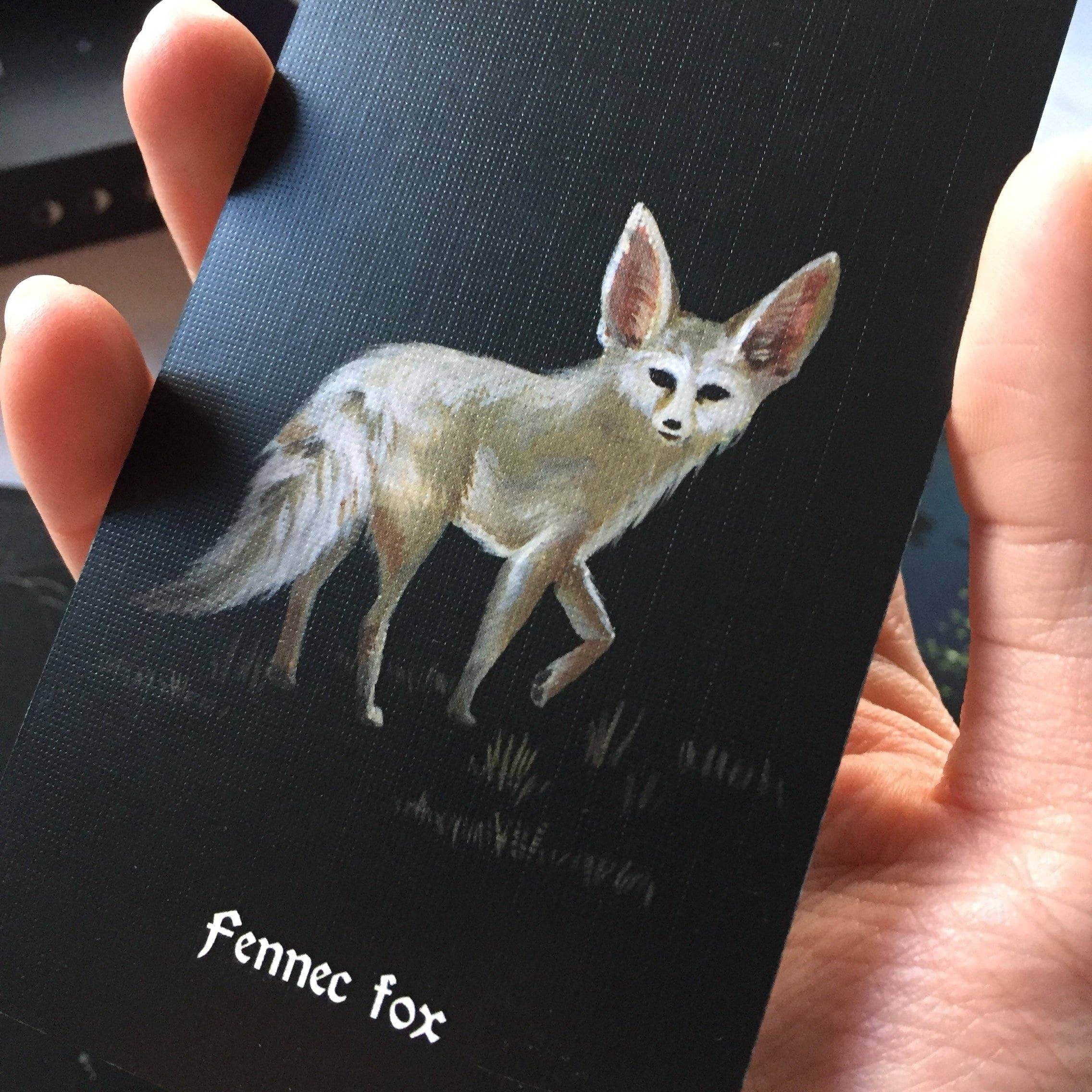 Nocturna Oracle Deck - Water Moon Shop