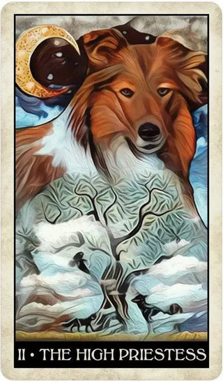 Wise Dog Tarot - Water Moon Shop