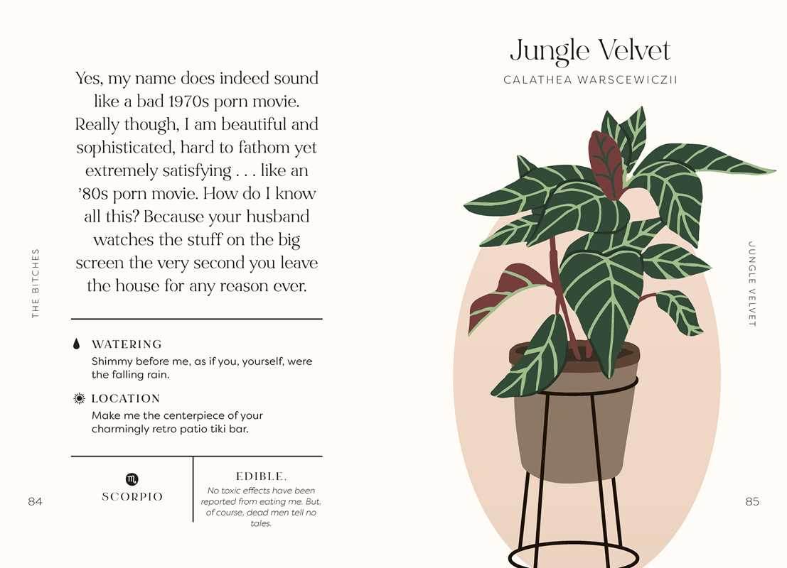Houseplants and Their Fucked-Up Thoughts by Carlyle Christoff - Water Moon Shop