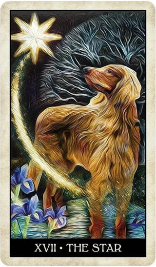Wise Dog Tarot - Water Moon Shop