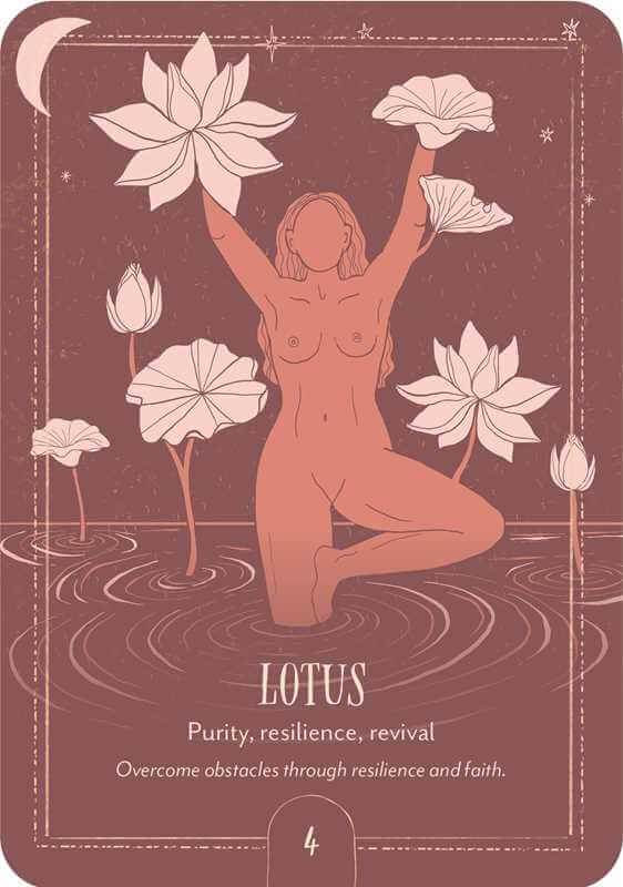 Earth Song Oracle by Tarn Ellis - Water Moon Shop