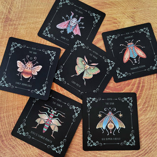 Insecta Obscura Animal Tarot Deck - Water Moon Shop