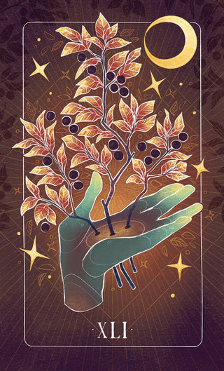 Seed & Sickle Oracle Deck - Water Moon Shop