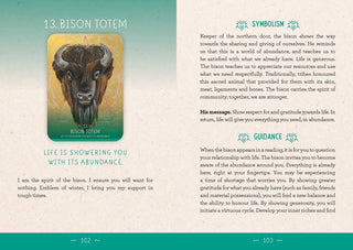 Medicine Woman Oracle - Water Moon Shop