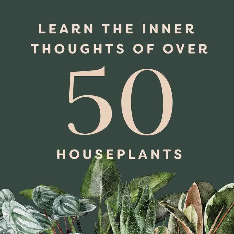 Houseplants and Their Fucked-Up Thoughts by Carlyle Christoff - Water Moon Shop