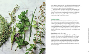 Tiny Space Gardening: A Guide to Urban Farming - Water Moon Shop