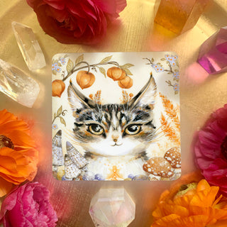Witch Cats Oracle Deck - Water Moon Shop
