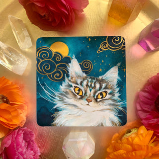 Witch Cats Oracle Deck - Water Moon Shop