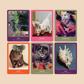 The Cat Oracle by Broccoli Mag