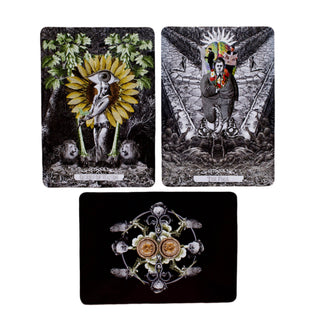 Alchemical Visions Tarot - 78 Card Jungian Psychology Deck by Arthur Taussig PhD | Large Format Shadow Work & Self-Transformation Guide - Water Moon Shop