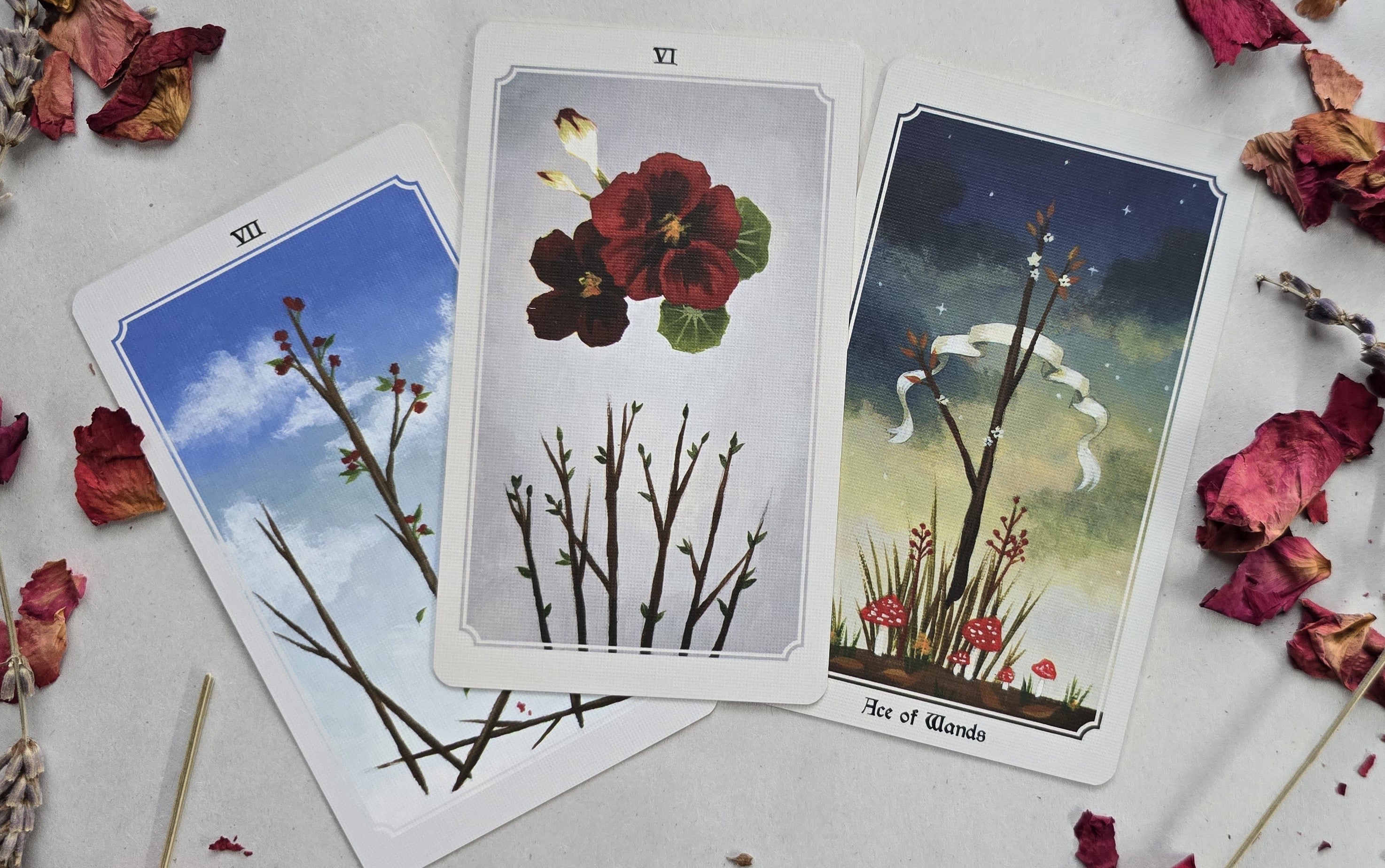 Anima Mundi Tarot - Nature Inspired - Tarot Deck and Guidebook