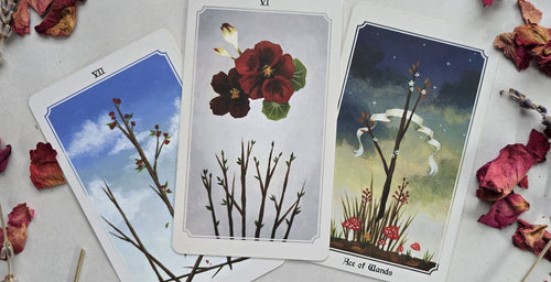 Three tarot cards with nature-themed illustrations on a surface with dried flowers.