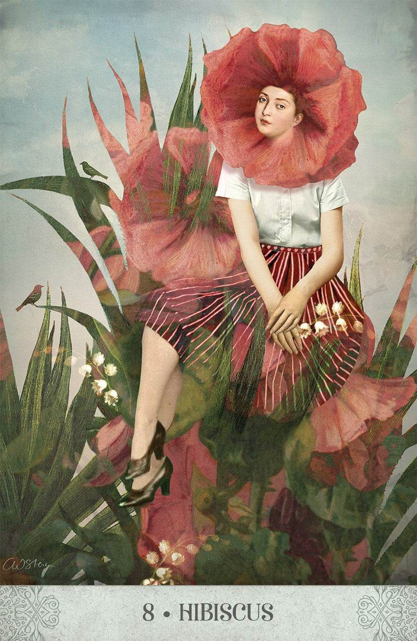 Botanical Dreams Oracle - Water Moon Shop