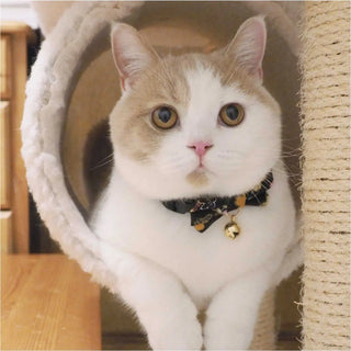 Kimono Bow Tie Cat Collar (Multiple Colors)