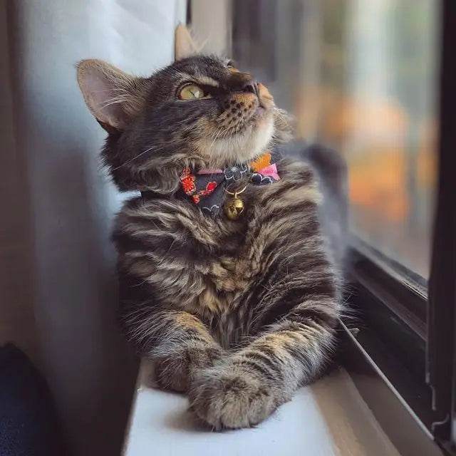 Kimono Bow Tie Cat Collar (Multiple Colors) - Water Moon Shop