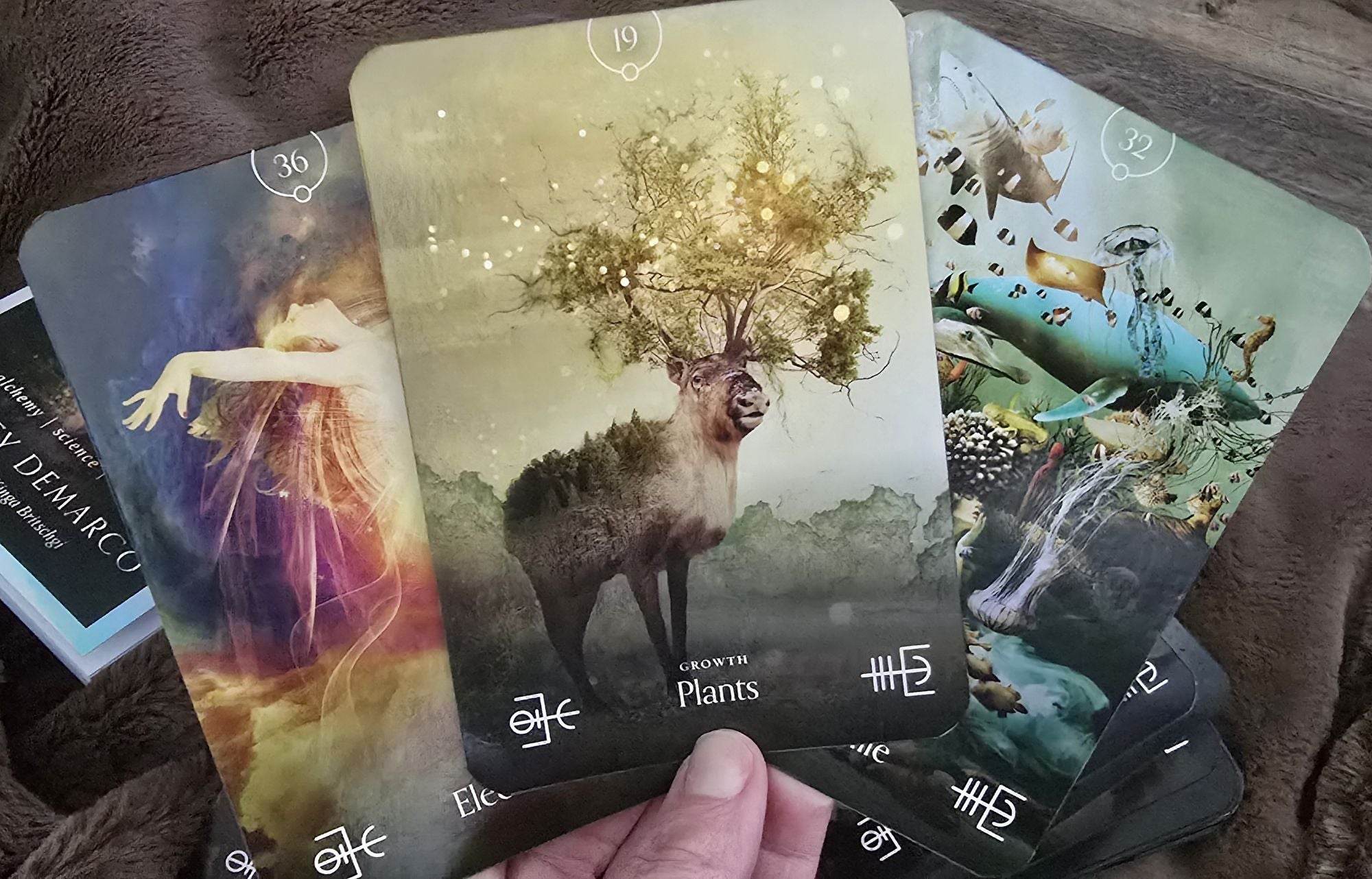 Elemental Oracle by Stacey Demarco - Water Moon Shop