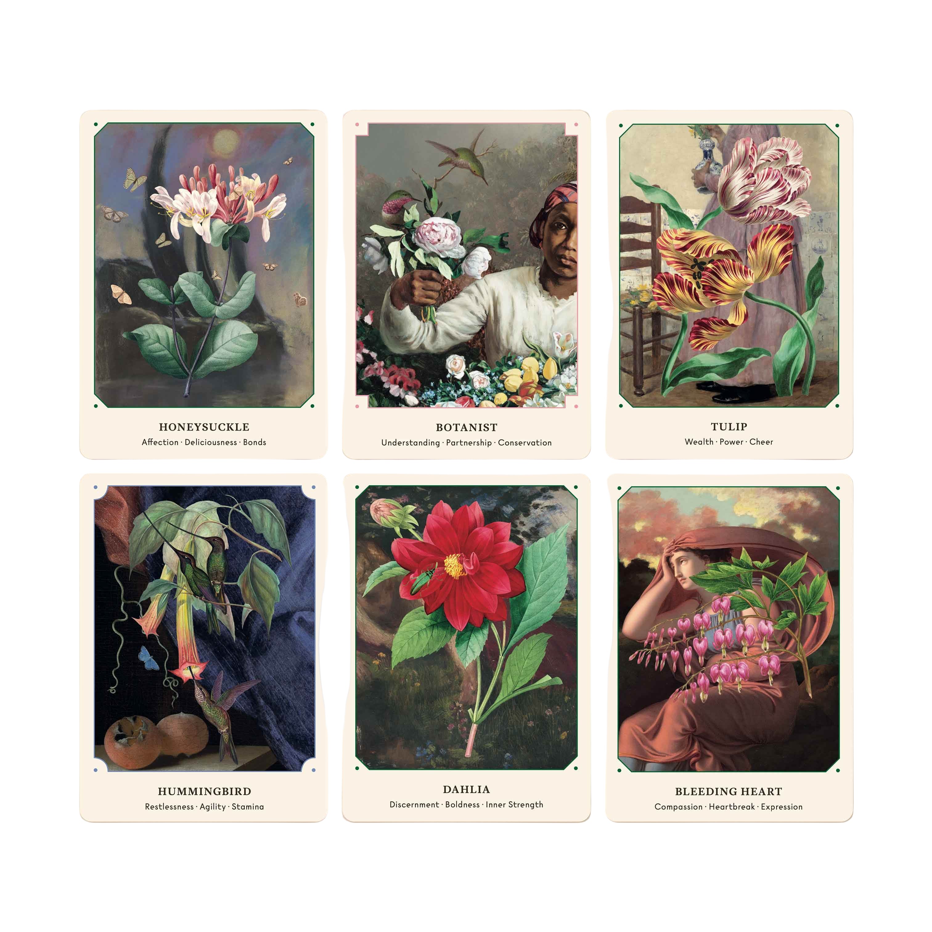 pThe Flower Oracle: 44 Card Deck and Guidebook - Water Moon Shop
