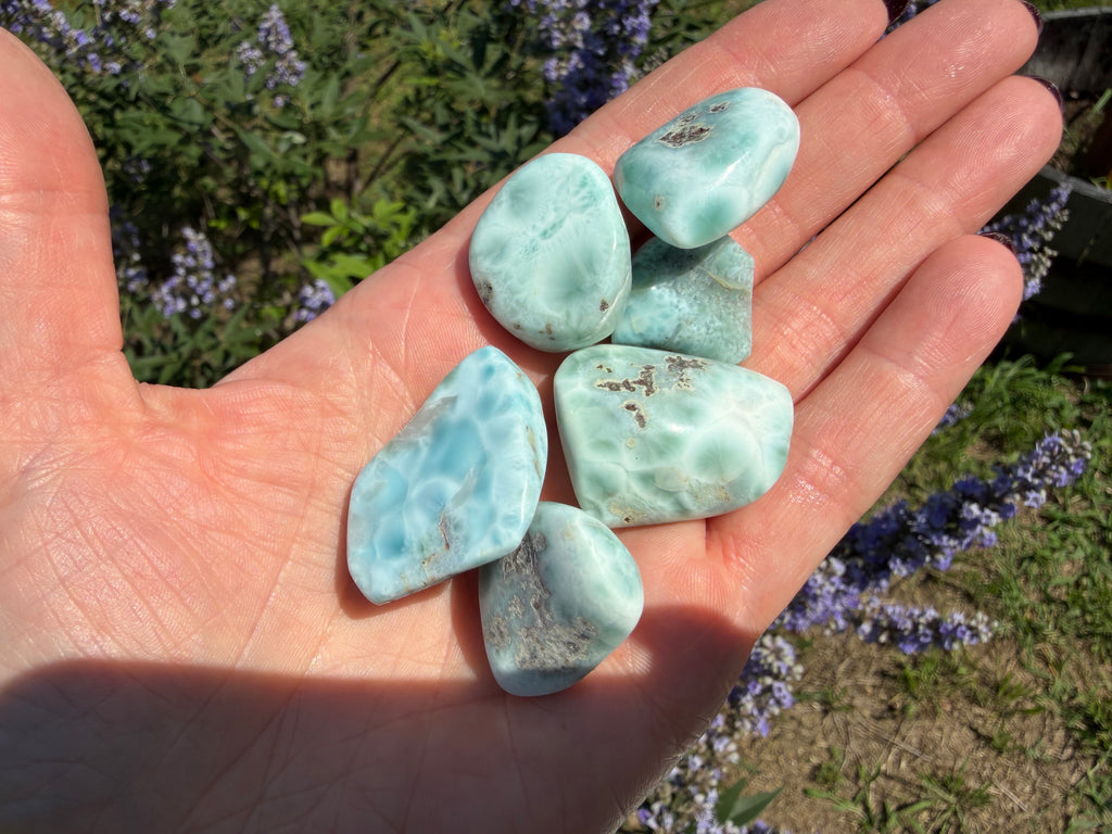 Hand holding five turquoise stones with a natural outdoor background