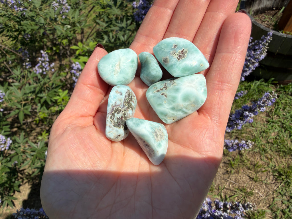 Hand holding turquoise stones with a natural outdoor background