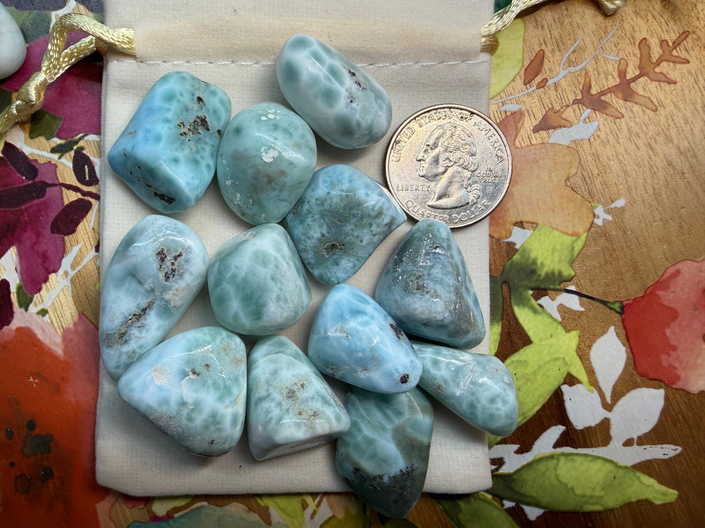 Blue-green stones on a white surface with a coin for scale, on a decorative background.