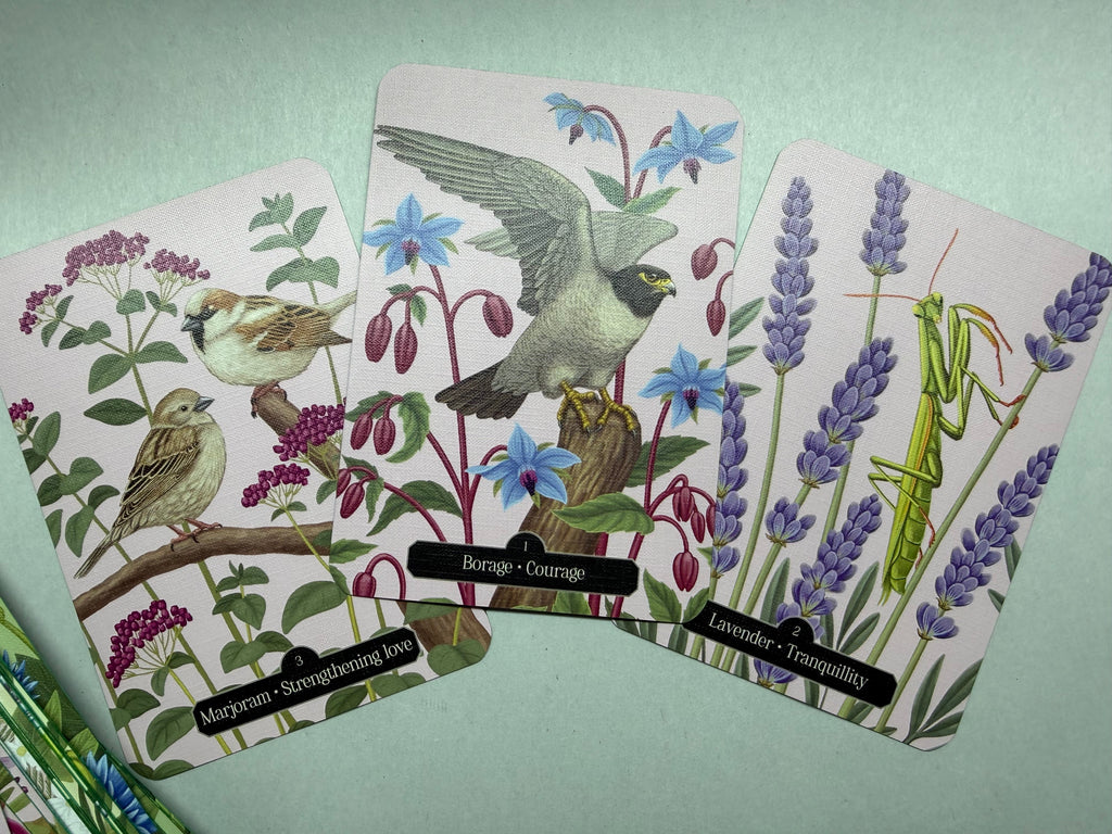Set of cards with nature-themed illustrations on a light green background