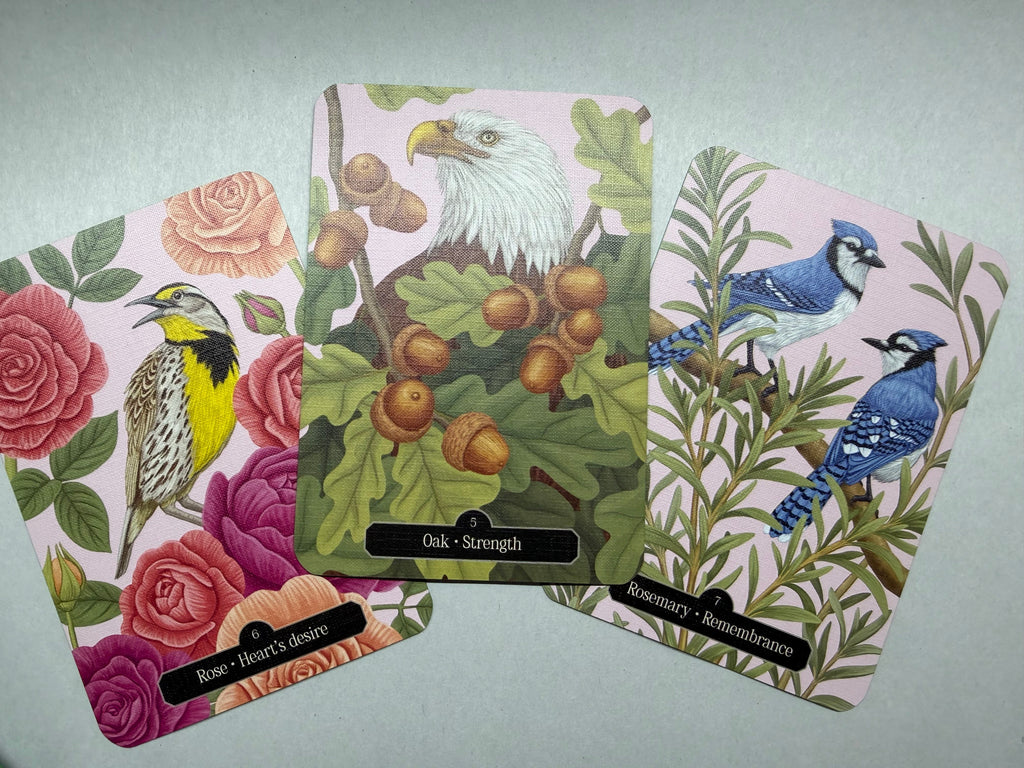 Set of tarot cards with nature-themed designs on a light gray background