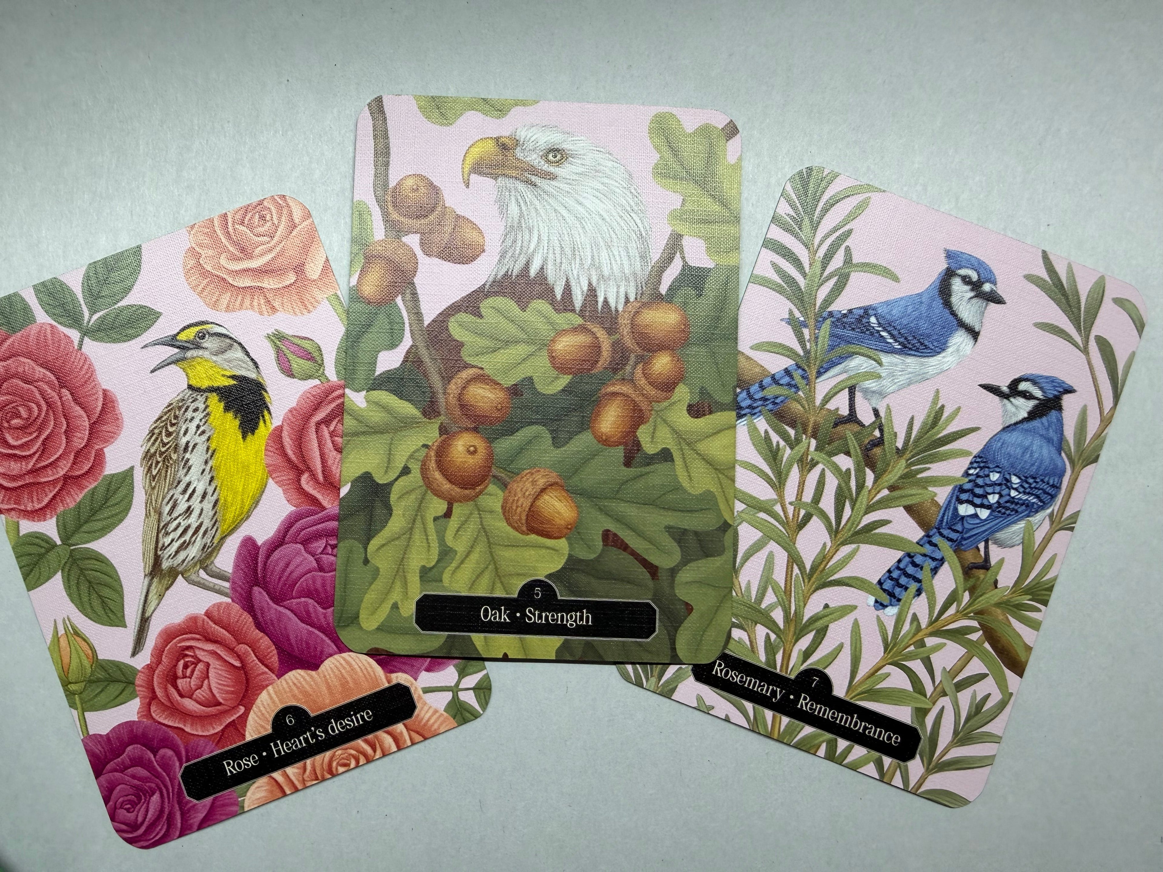 Set of tarot cards with nature-themed designs on a light gray background