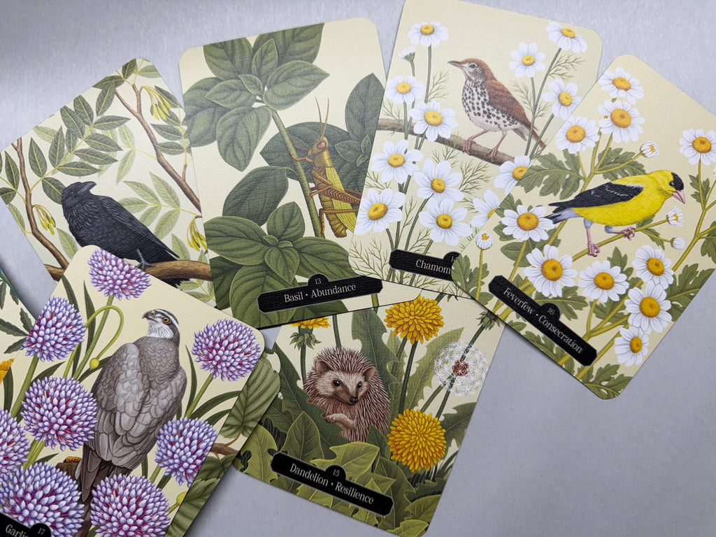 Set of nature-themed playing cards with birds, flowers, and animals on a gray background