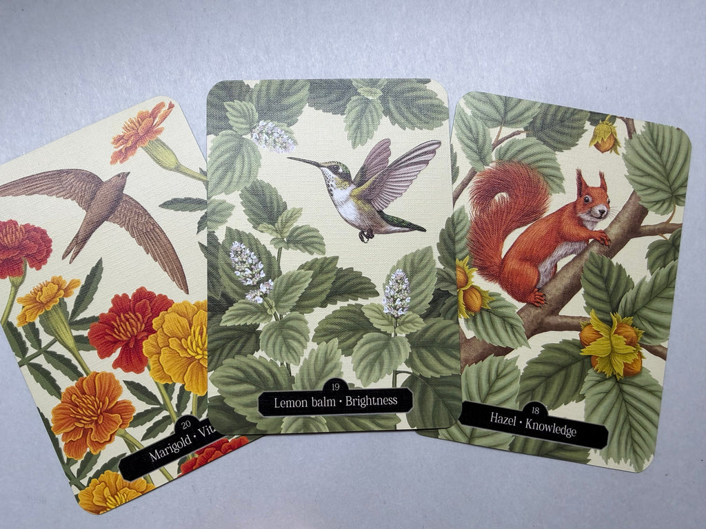 Three floral and nature-themed folders on a gray background