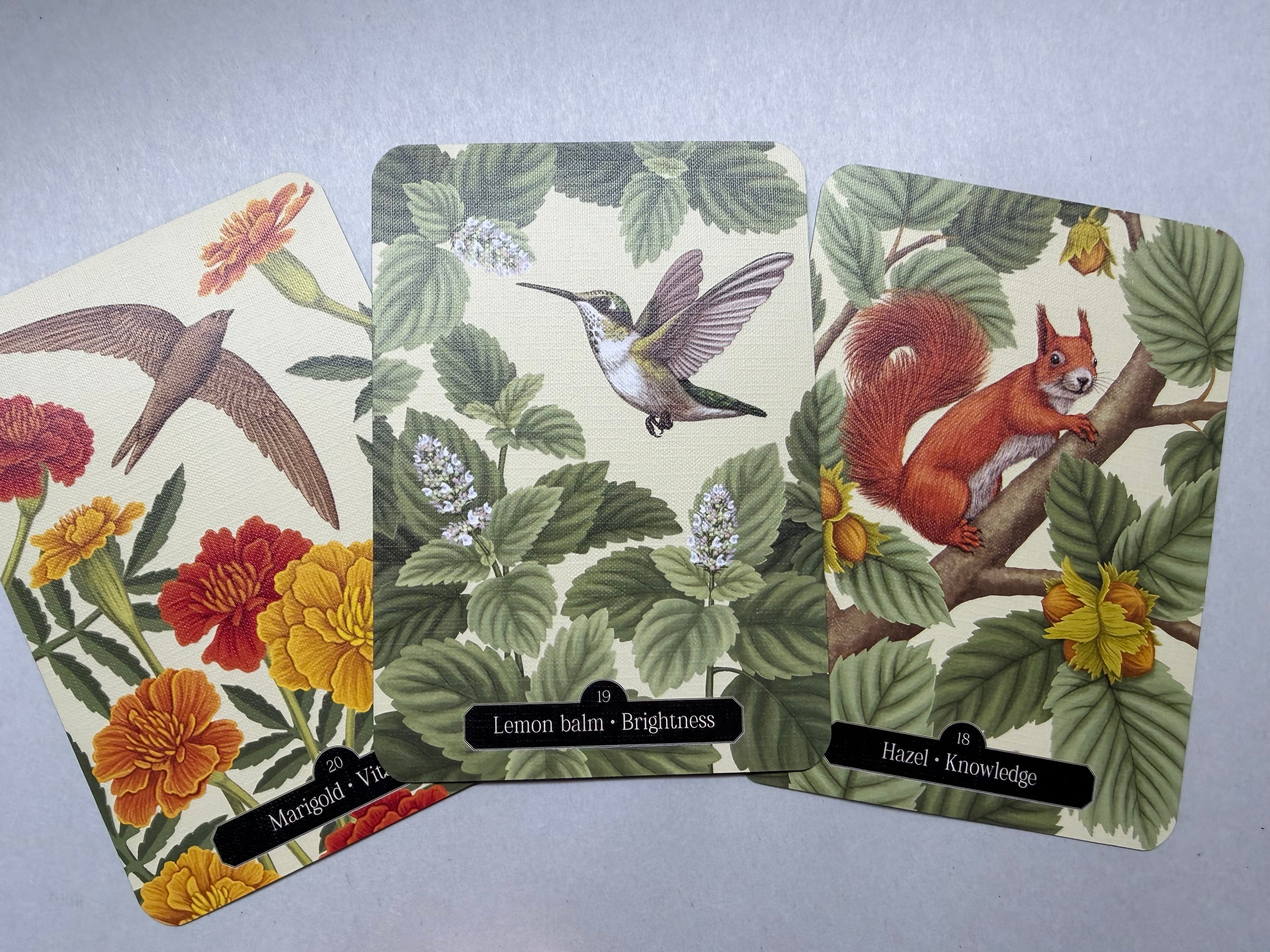 Three floral and nature-themed folders on a gray background
