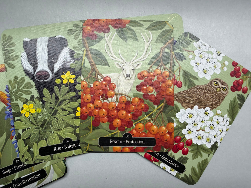 Set of nature-themed cards with animals and plants on a gray background