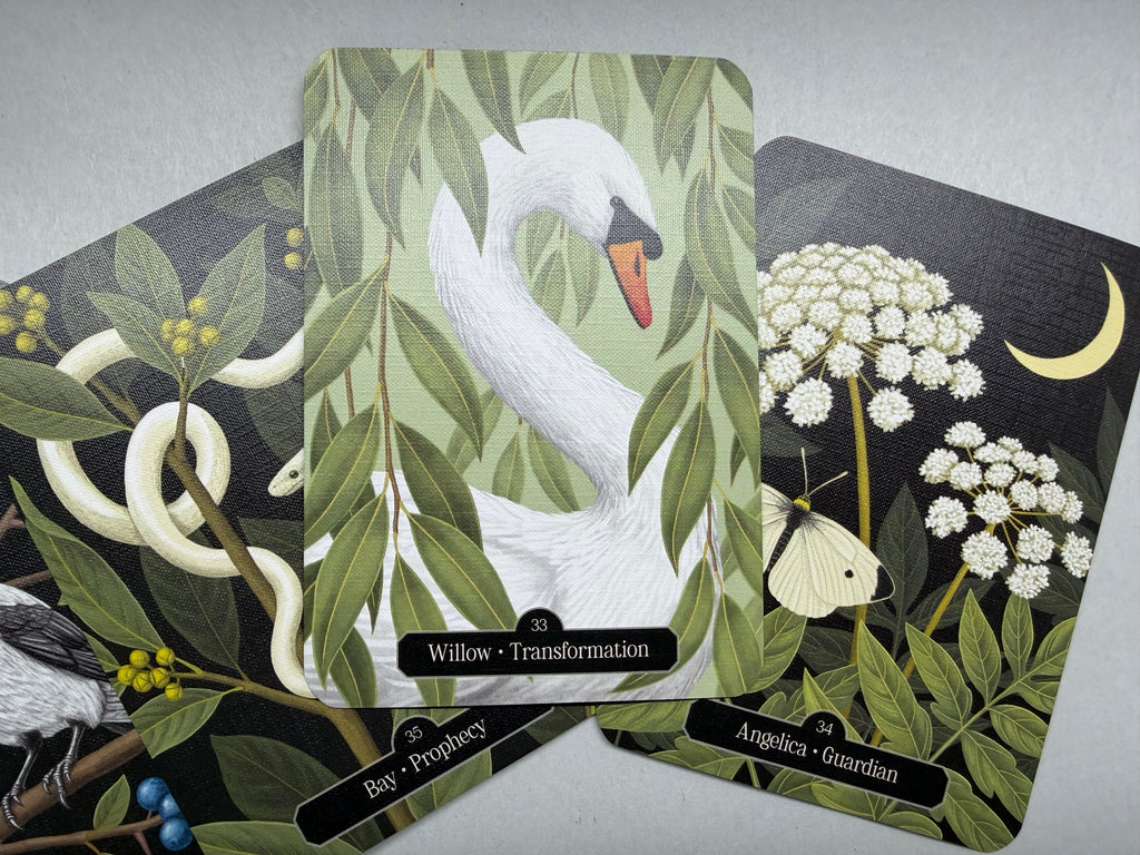 Card with a swan illustration surrounded by leaves and flowers on a gray background